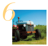 Invest in local food and farming enterprises