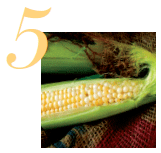 Become a Sponsor of the Local Food Shift Campaign
