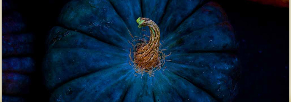 locally grown produce