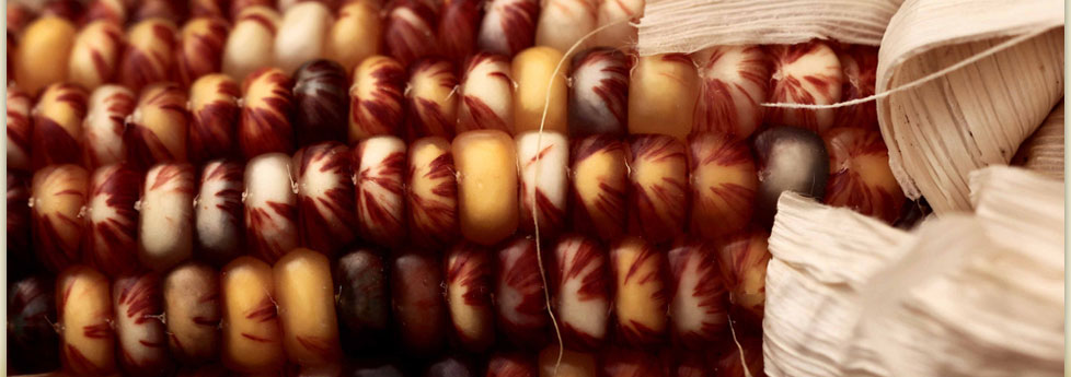 locally grown produce