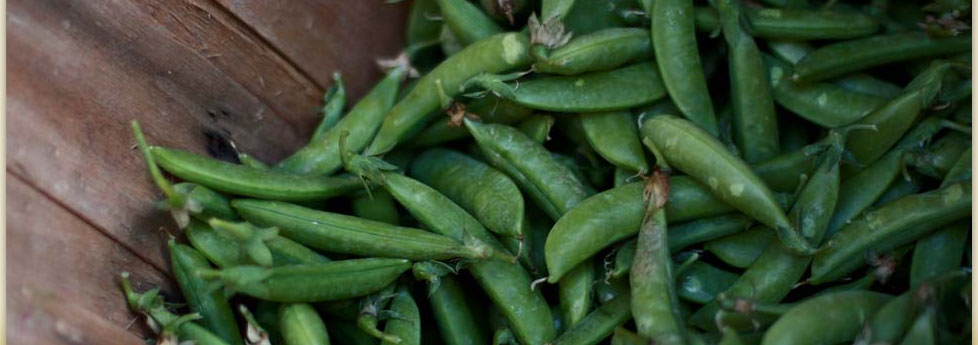 locally grown produce