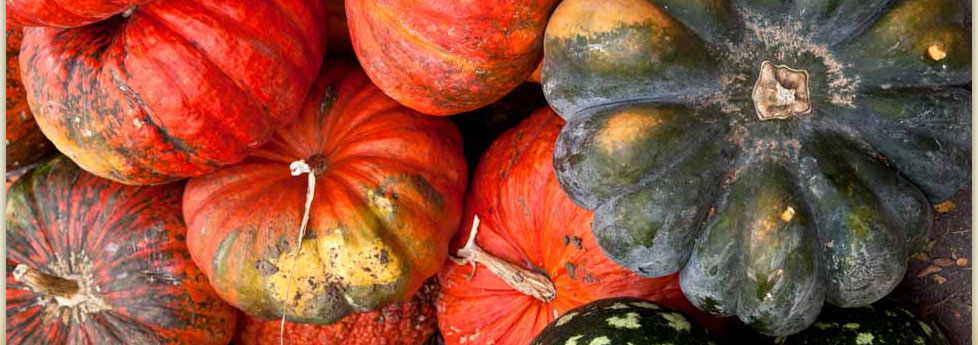 locally grown produce